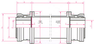 WGT接中間套鼓形齒式聯(lián)軸器