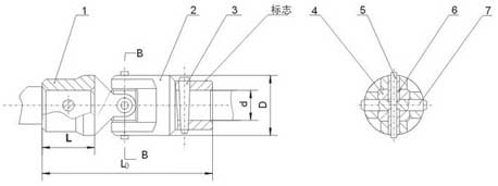 WS/WSD小型十字軸萬向聯(lián)軸器