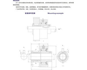 CK-L楔塊式單向離合器