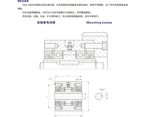 CKZ-A 楔塊式單向離合器