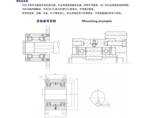 CKZ-B楔塊式單向離合器