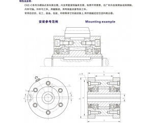 CKZ-C楔塊式單向離合器