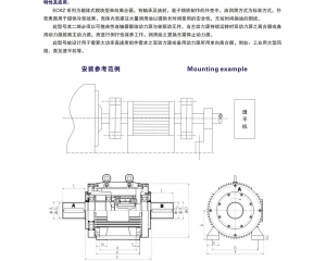 ECKZ楔塊式單向離合器