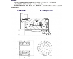 CKZ-F非接觸式單向離合器