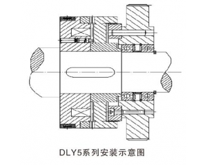 DLY5牙嵌式電磁離合器